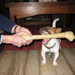 IMG_0185