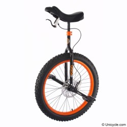Nimbus 24 Oracle Mountain Unicycle