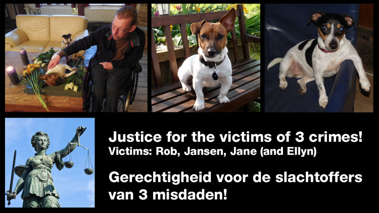 Justice for Jansen Change.org Header