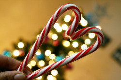 candy-canes-christmas-cute-heart-holidays-Favim.com-121809